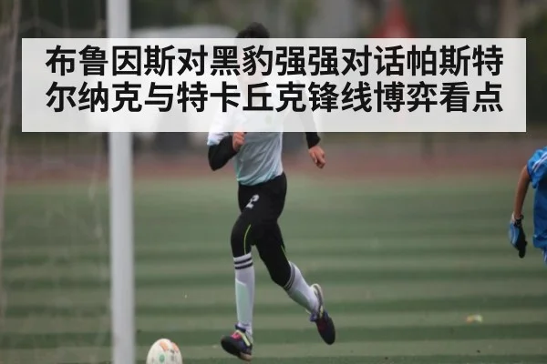 布鲁因斯对黑豹强强对话帕斯特尔纳克与特卡丘克锋线博弈看点 | kaiyun